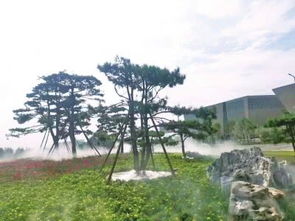郑州创建国家生态园林城市成果满满 人均公园绿地达到13㎡