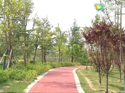【创城进行时】菏泽又新增一条景观带,园林绿化建设让城市更加美丽宜居!