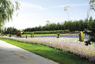 打造园林绿化景观 哈尔滨将加大丁香栽植工作