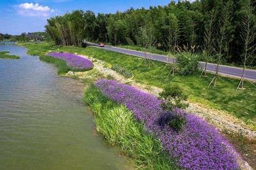 平天湖风景区 一路景观焕新颜 花园城市 初显形