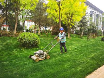 陕建古建园林集团港务区园林绿化项目施工侧记