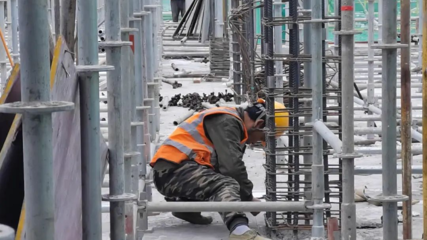春之声 | 长远小学新建项目建设忙 绿化园林建设