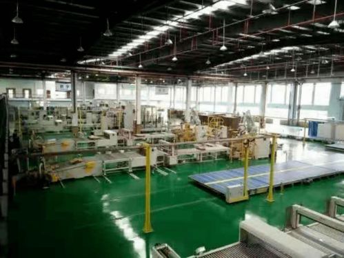 绿色共赢，创新发展 大胜达包装的全方位解决方案与木工工程建设