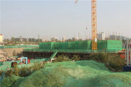 快看看有你们村吗 日照多个城中村改造安置区最新建设进展
