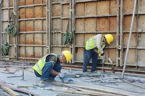 福泉水库国庆期间绿化园林建设全力推进