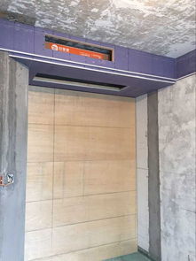 紫御龙湾在线工地木工阶段与园林绿化建设进展