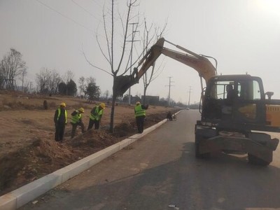 示范区快速推进国土绿化工作，木工工程建设成效显著