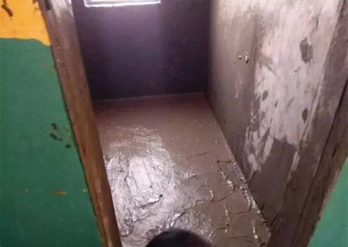 装修选材不用愁 绿化园林建设全流程主材采购指南